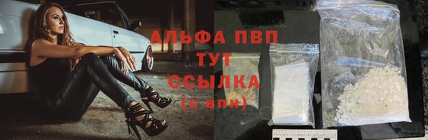 прущие грибы Богородицк
