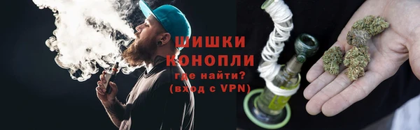 прущие крисы Няндома