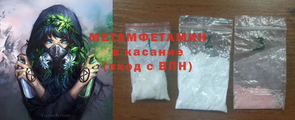 прущие грибы Богородицк