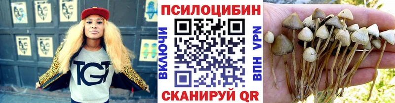 продажа наркотиков Белая Калитва Псилоцибиновые грибы MAGIC MUSHROOMS
